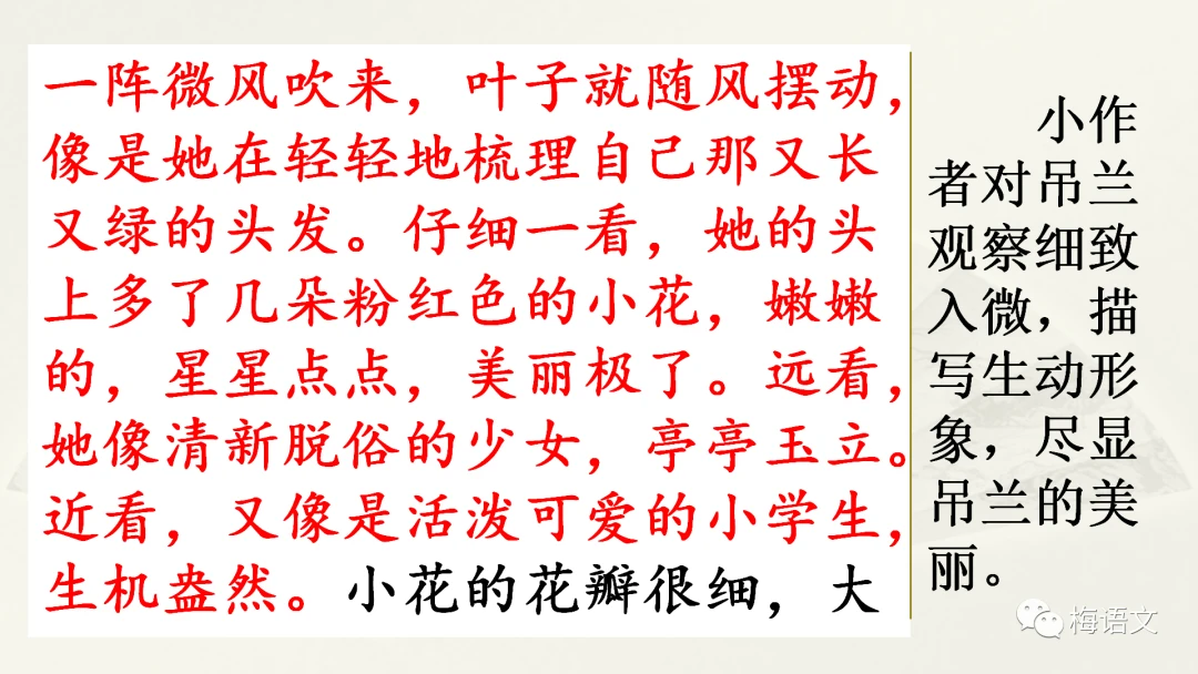 青少年学生篮球训练营发言稿_0